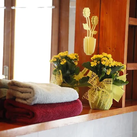 Holiday Il Capriolo Holiday home